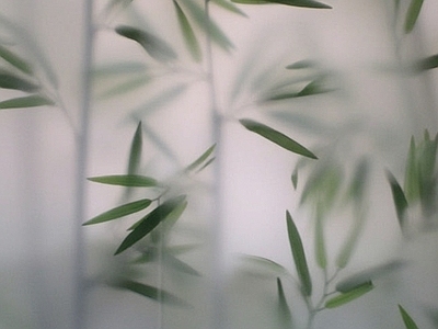竹子造型贴图 磨砂玻璃竹子造型 艺术玻璃 植物玻璃