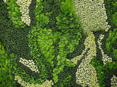 植物墙 绿植 花卉9