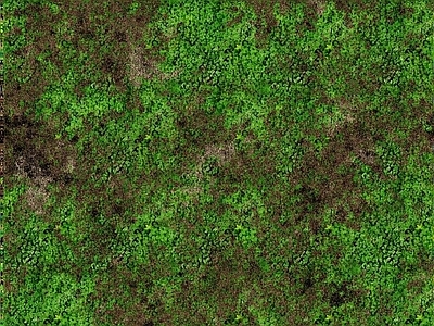 绿色草地贴图 草皮