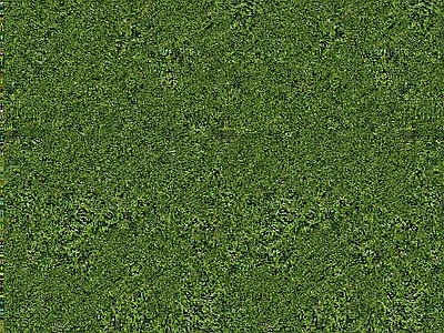 草地草皮无缝高清贴图1 草皮