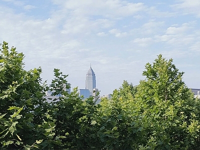 外景 天空 树木远离市中心