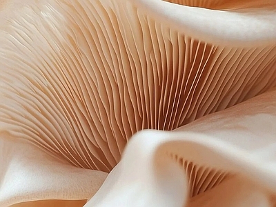 现代其他挂画