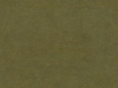 现代细纹皮革