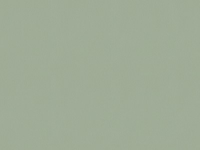现代细纹皮革