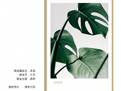其他挂画