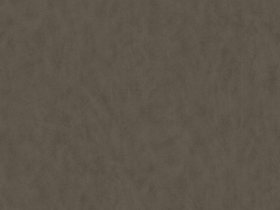 现代细纹皮革