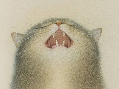 其他挂画