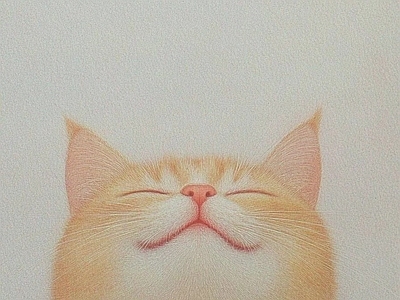 其他挂画