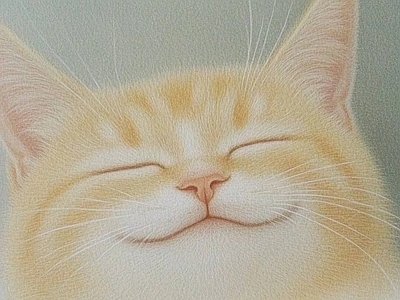 其他挂画