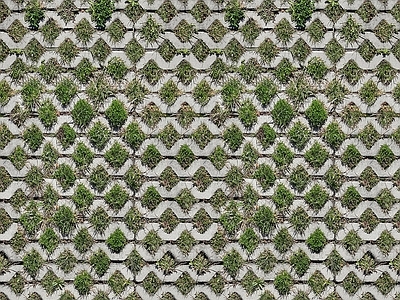 植草砖