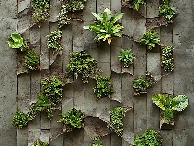 绿植墙