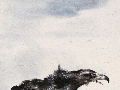 其他挂画