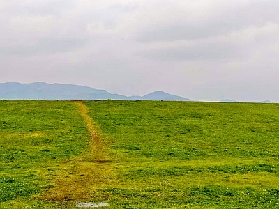 现代其它外景