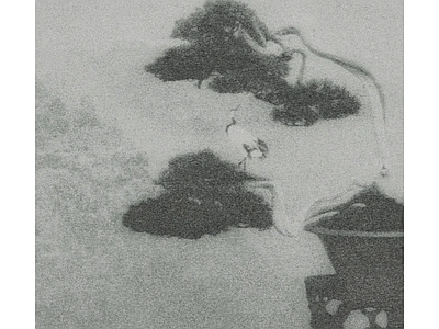 其他挂画
