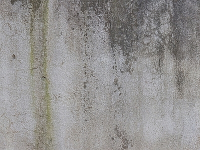 硅藻泥