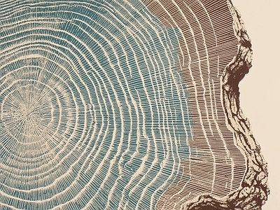 其他挂画