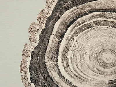 其他挂画
