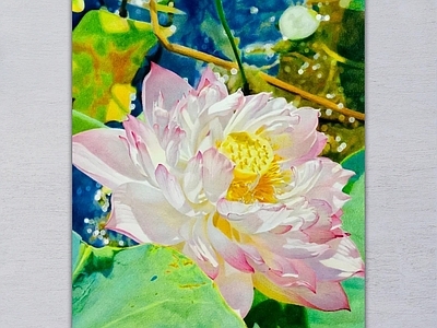 其他挂画