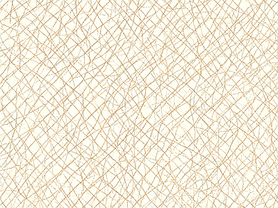 粗纹皮革