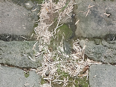 现代路面