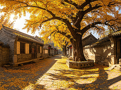 小区HDR