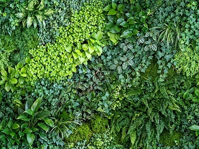 现代绿植墙