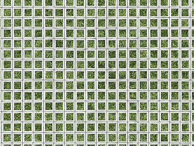 植草砖