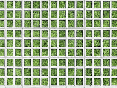 植草砖
