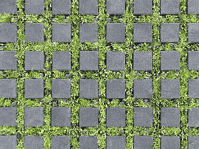 植草砖