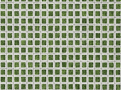 植草砖