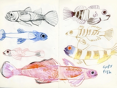 其他挂画