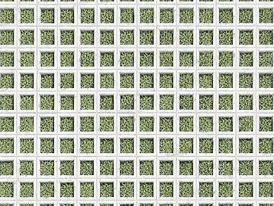 植草砖