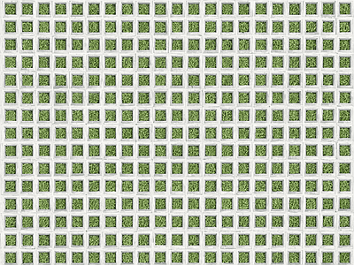 植草砖