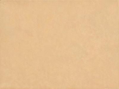 细纹皮革