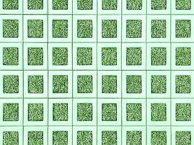 植草砖