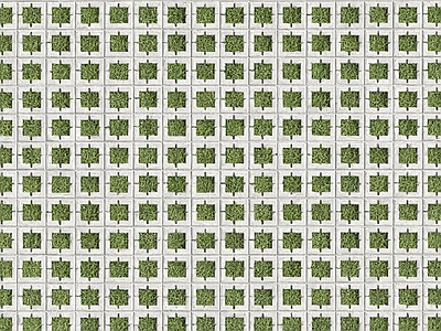 植草砖