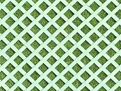 植草砖