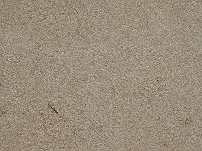 硅藻泥