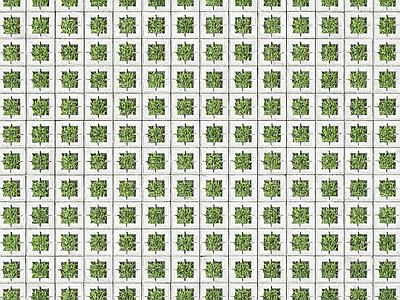 植草砖