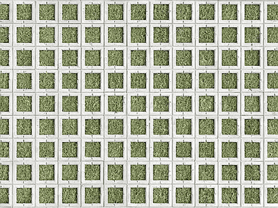 植草砖