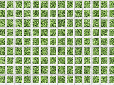 植草砖
