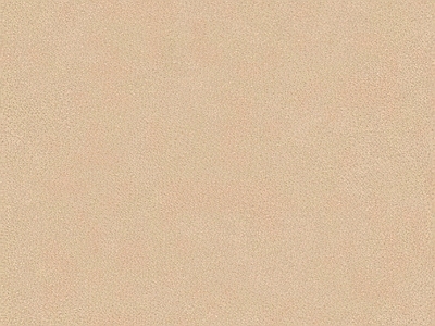 现代硅藻泥