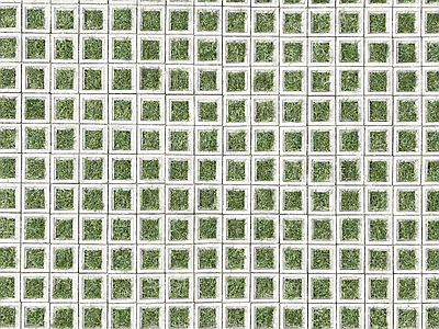 植草砖