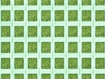 植草砖