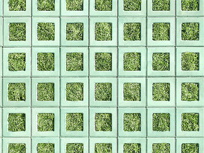 植草砖