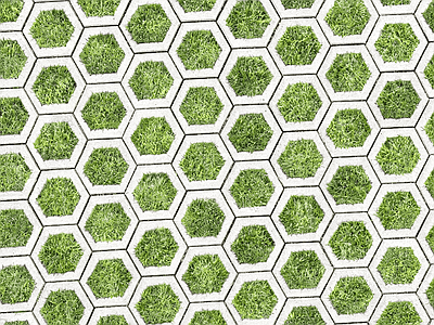 植草砖