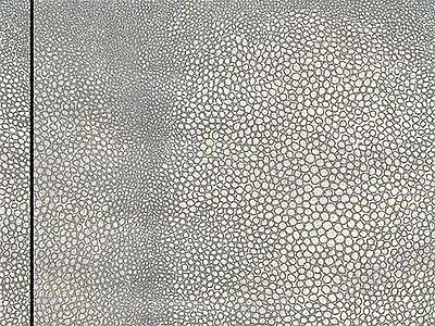 细纹皮革