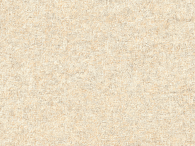 素色布纹