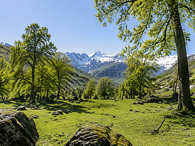 现代其他风景