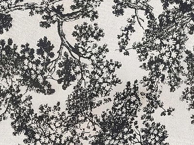 简约花纹布纹